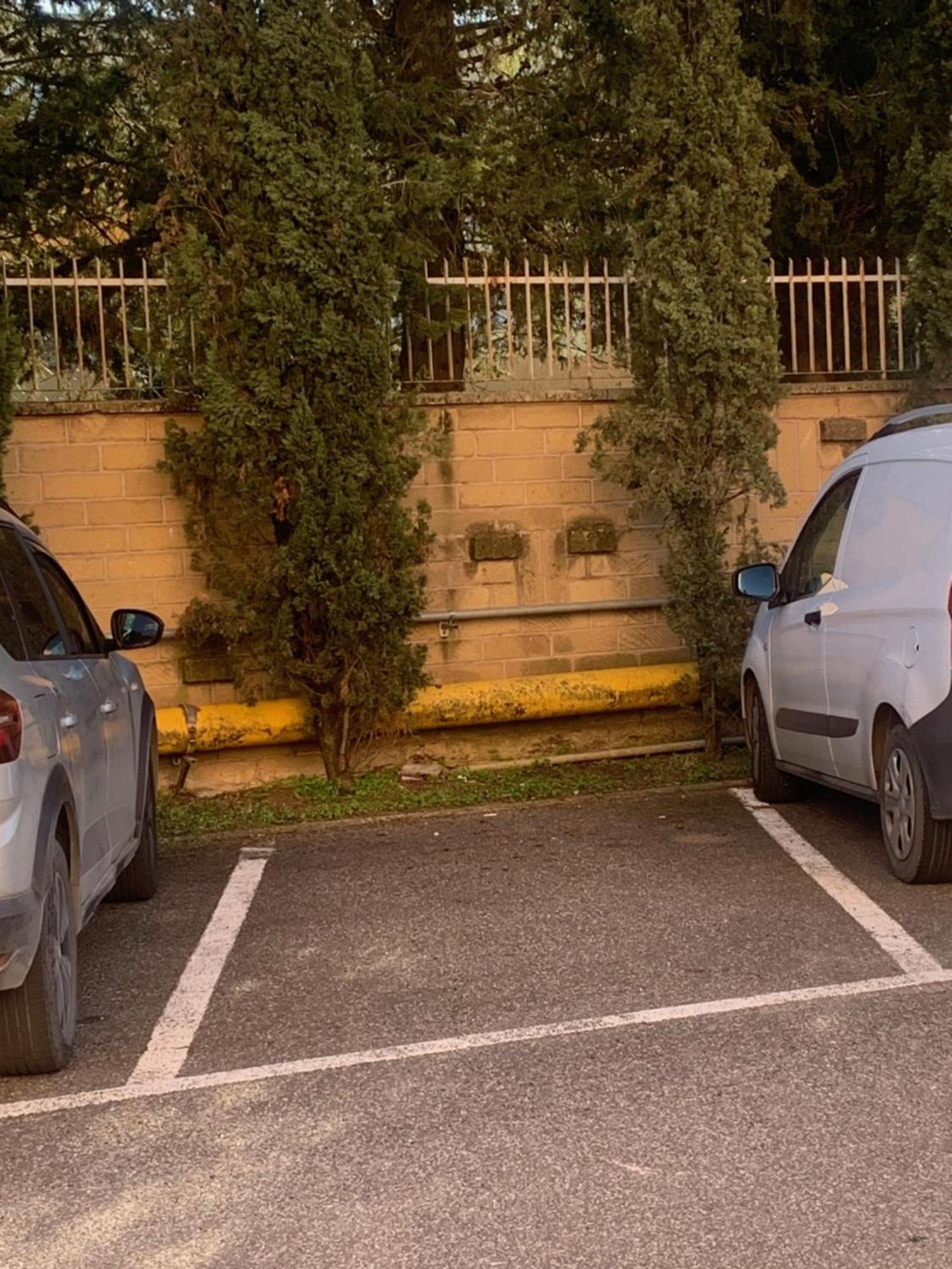 Vatican City Green Apartment Roma Esterno foto